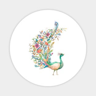 peacock Magnet